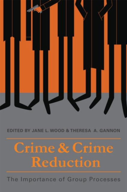 Crime and Crime Reduction : The importance of group processes, Hardback Book