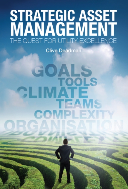 Strategic Asset Management : The quest for utility excellence, Paperback / softback Book