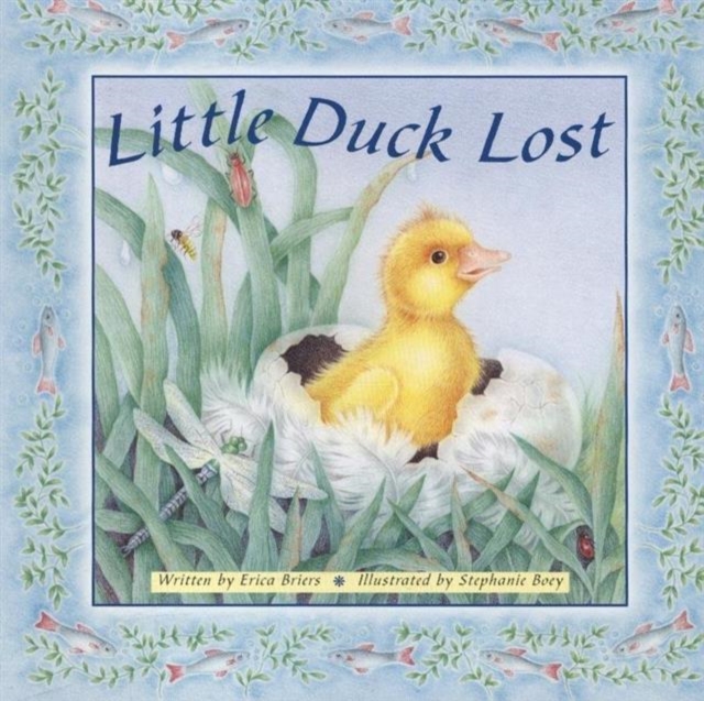 Little Duck Lost, Board book Book