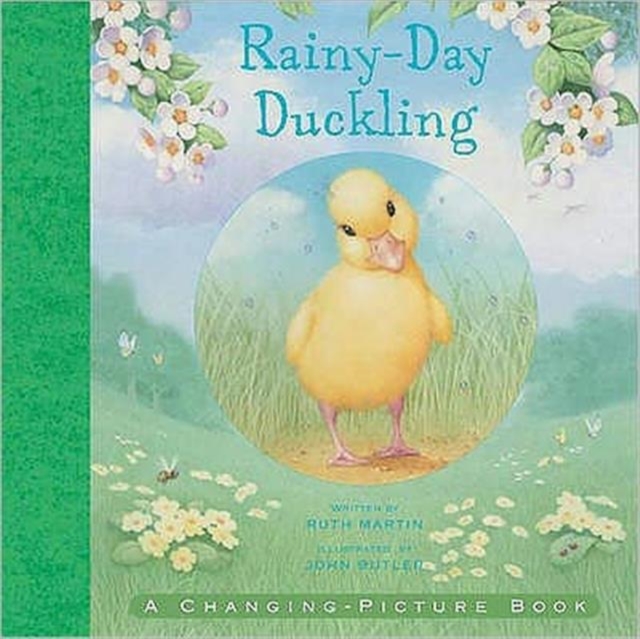 Rainy Day Duckling, Hardback Book