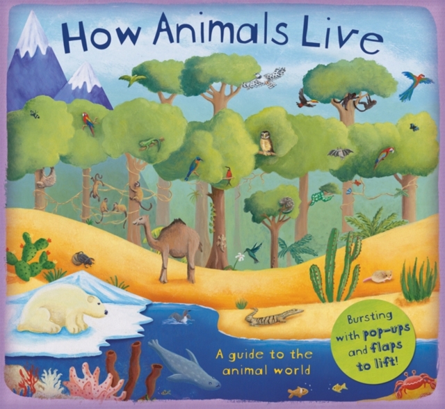 How Animals Live, Hardback Book
