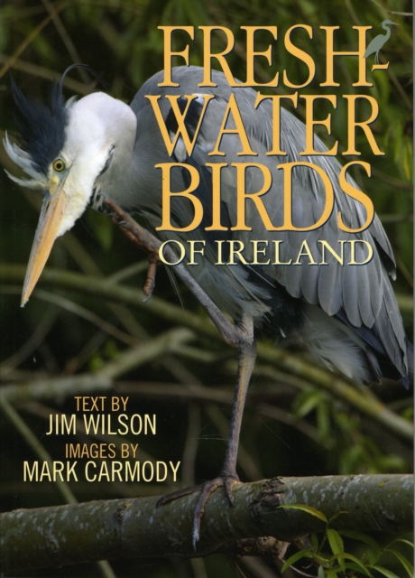 Freshwater Birds of Ireland, Paperback Book