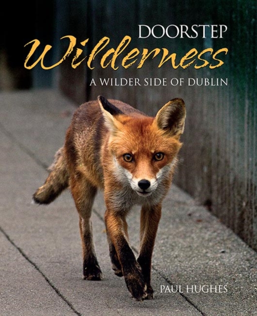 Doorstep Wilderness, Hardback Book