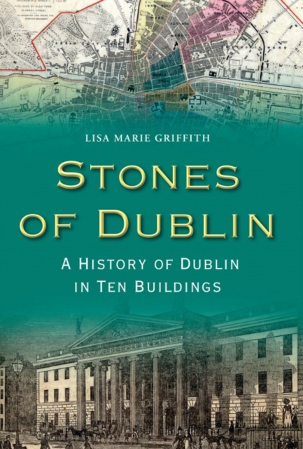 Stones of Dublin, Paperback / softback Book