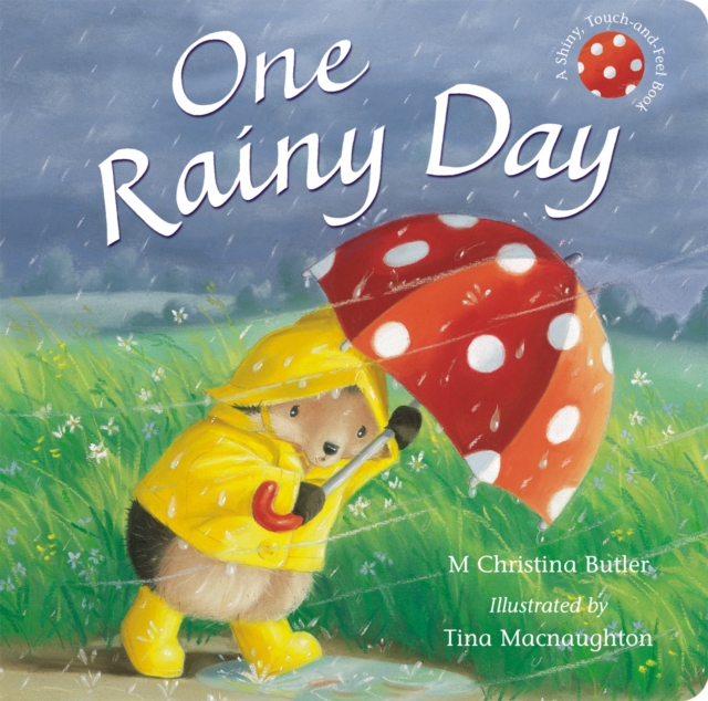 One Rainy Day, Board book Book