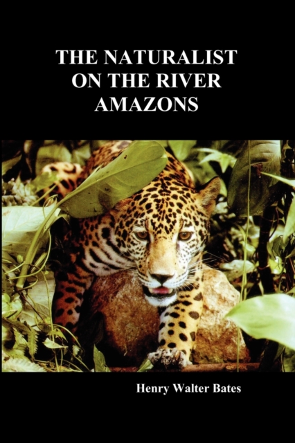 The Naturalist on the River Amazons : A Record of Adventures, Habits of Animals, Sketches of Brazilian and Indian Life, and Aspects of Nature Under the Equator, During Eleven Years of Travel, Paperback / softback Book