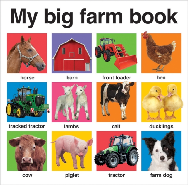 My Big Farm Book : My Big Books, Board book Book