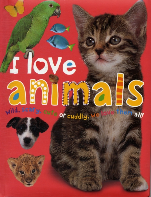 I Love Animals : I Love Padded, Board book Book