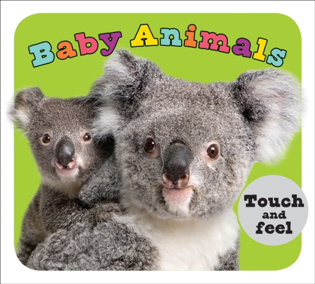 Baby Animals : ABC Touch & Feel Books, Hardback Book
