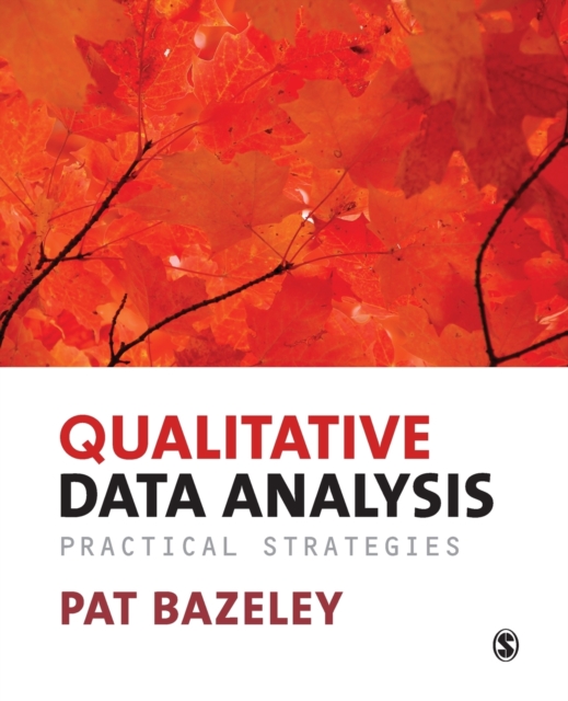 Qualitative Data Analysis : Practical Strategies, Paperback / softback Book