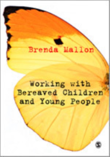 Working with Bereaved Children and Young People, Hardback Book