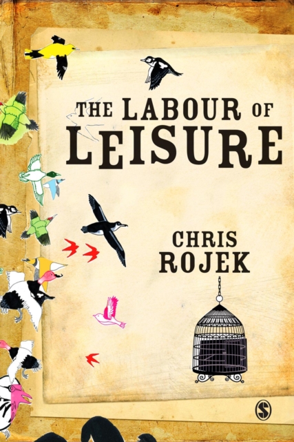 The Labour of Leisure : The Culture of Free Time, PDF eBook