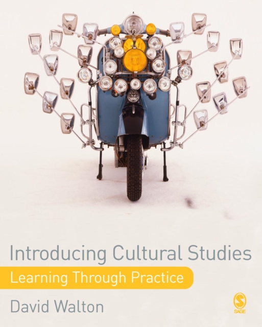 Introducing Cultural Studies : Learning through Practice, PDF eBook
