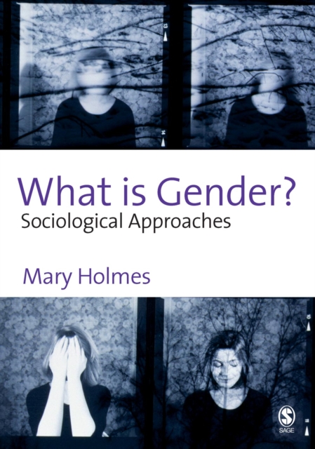 What is Gender? : Sociological Approaches, PDF eBook