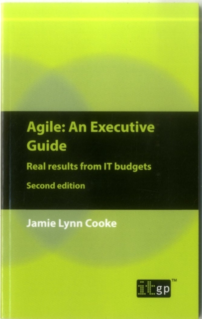 Agile : An Executive Guide, Paperback / softback Book