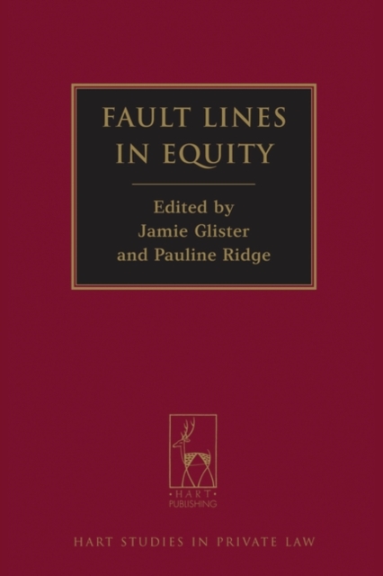 Fault Lines in Equity, Hardback Book