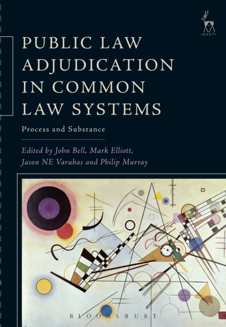 Public Law Adjudication in Common Law Systems : Process and Substance, Hardback Book