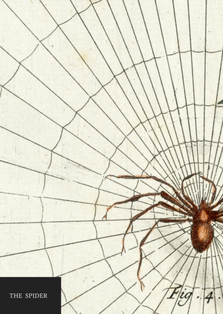 Natural History Museum: The Spider Notebook, Diary Book