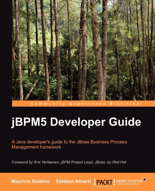 jBPM 5 Developer Guide, Paperback / softback Book