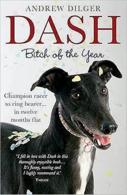 Dash : Bitch of the Year, Paperback Book