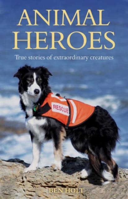 Animal Heroes : True Stories of Extraordinary Creatures, Paperback / softback Book
