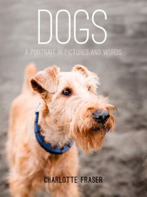 Dogs : A Portrait in Pictures and Words, Hardback Book