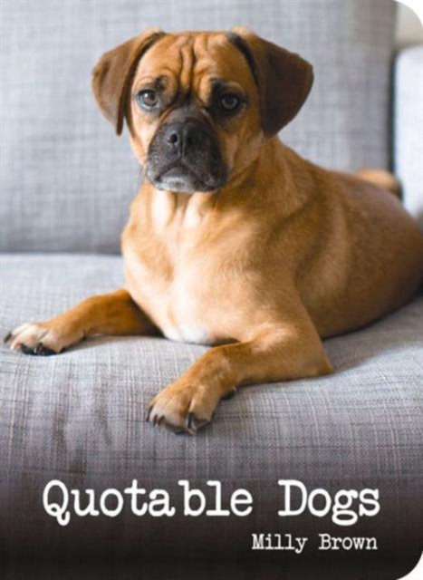 Quotable Dogs, Hardback Book