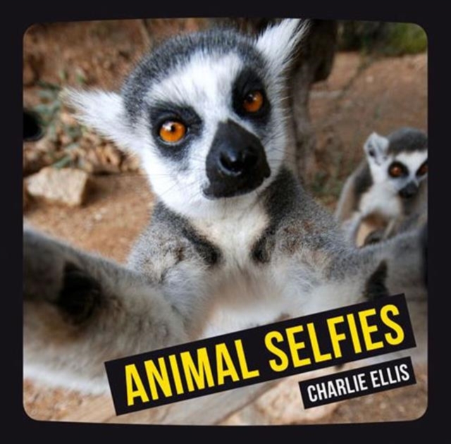 Animal Selfies, Hardback Book