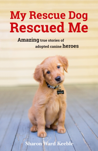 My Rescue Dog Rescued Me : Amazing True Stories of Adopted Canine Heroes, Paperback / softback Book