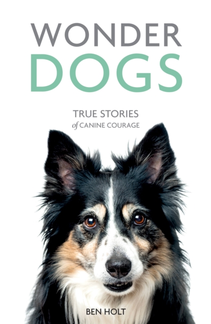 Wonder Dogs : True Stories of Canine Courage, Paperback / softback Book
