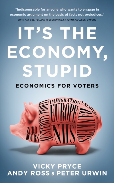 It's the Economy, Stupid : Economics for voters, Paperback / softback Book