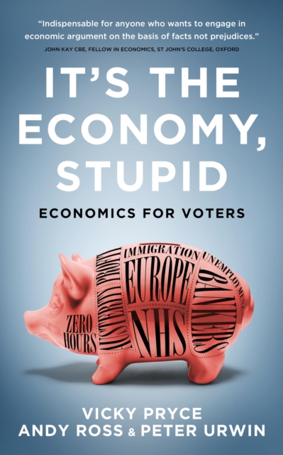 It's The Economy, Stupid, EPUB eBook