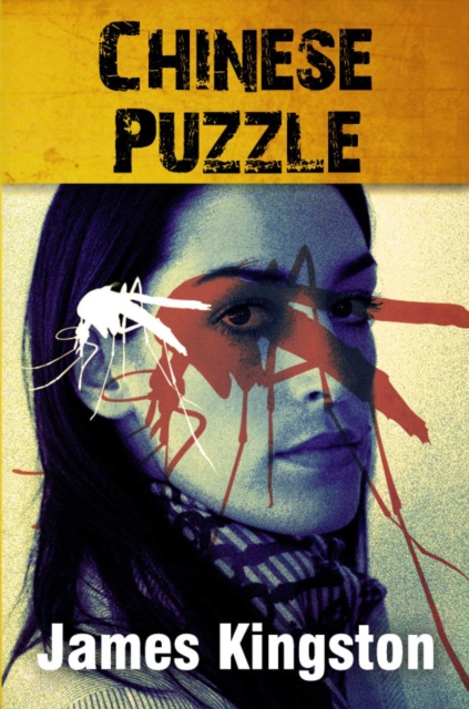 Chinese Puzzle, Paperback Book