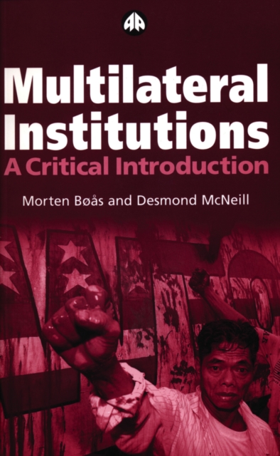 Multilateral Institutions : A Critical Introduction, PDF eBook