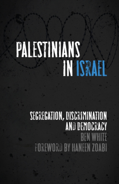 Palestinians in Israel : Segregation, Discrimination and Democracy, PDF eBook
