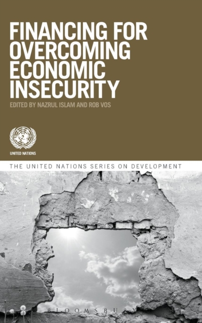 Financing for Overcoming Economic Insecurity, Hardback Book