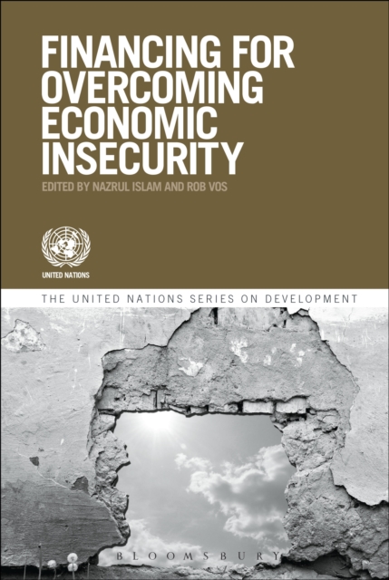 Financing for Overcoming Economic Insecurity, EPUB eBook