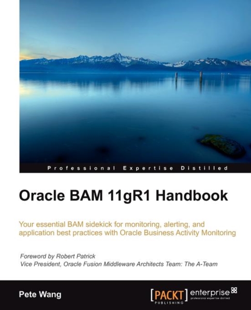 Oracle BAM 11gR1 Handbook, Electronic book text Book