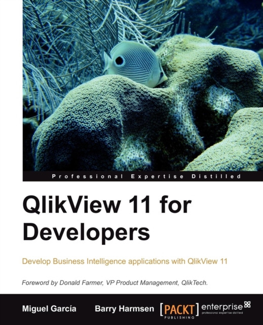 QlikView 11 for Developers, Electronic book text Book