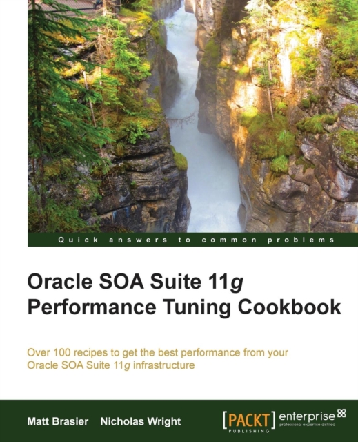 Oracle SOA Suite Performance Tuning Cookbook, Electronic book text Book