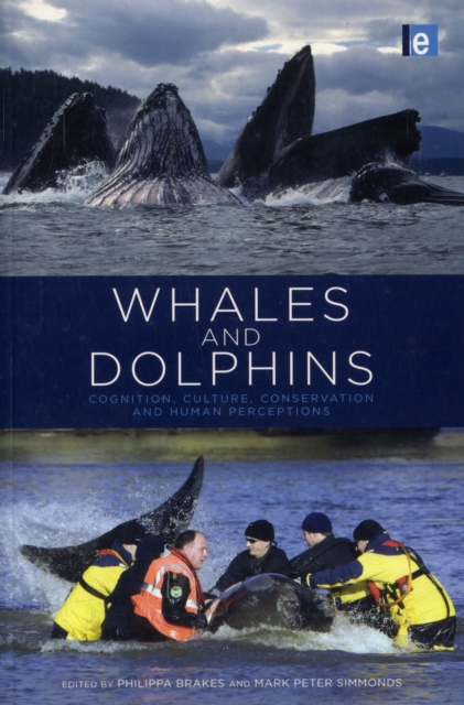 Whales and Dolphins : Cognition, Culture, Conservation and Human Perceptions, Paperback / softback Book