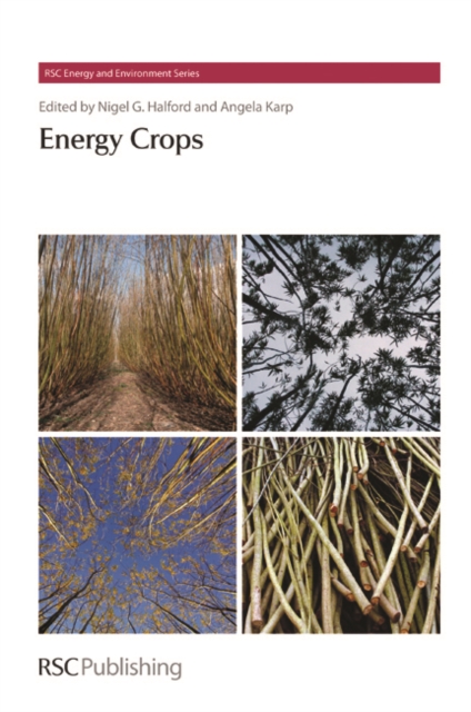 Energy Crops, Hardback Book