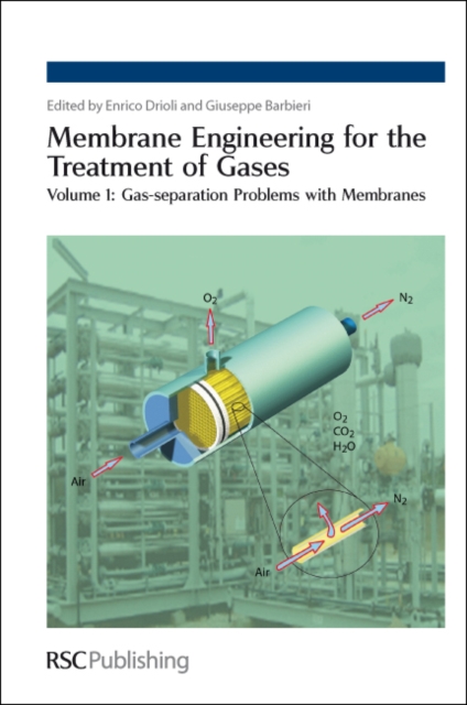 Membrane Engineering for the Treatment of Gases : Volume 1: Gas-separation Problems with Membranes, PDF eBook