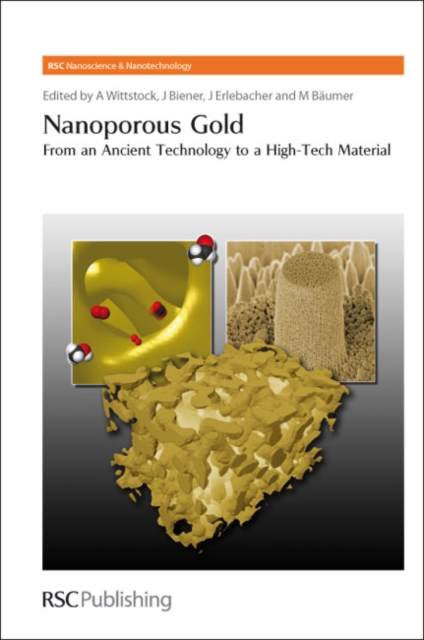 Nanoporous Gold : From an Ancient Technology to a High-Tech Material, Hardback Book