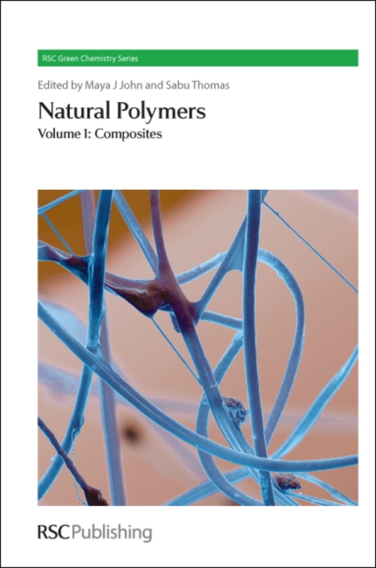 Natural Polymers : Volume 1: Composites, Hardback Book