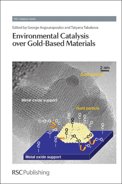 Environmental Catalysis over Gold-Based Materials, Hardback Book