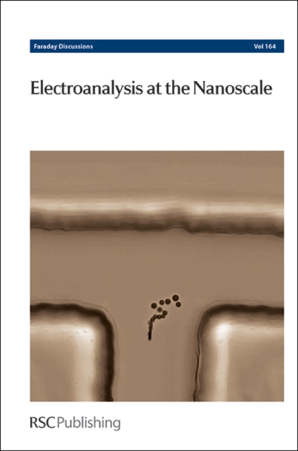 Electroanalysis at the Nanoscale : Faraday Discussion 164, Hardback Book