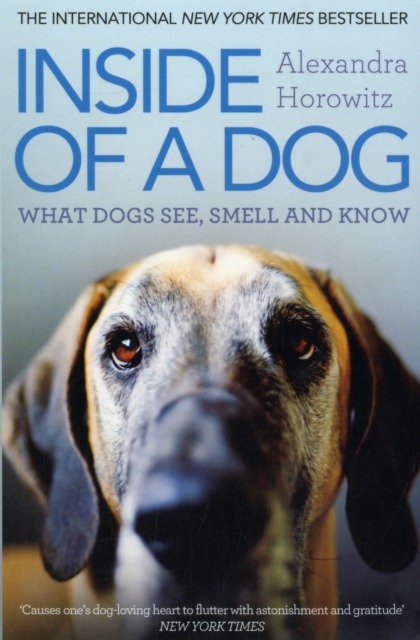 Inside of a Dog : What Dogs See, Smell, and Know, Paperback / softback Book