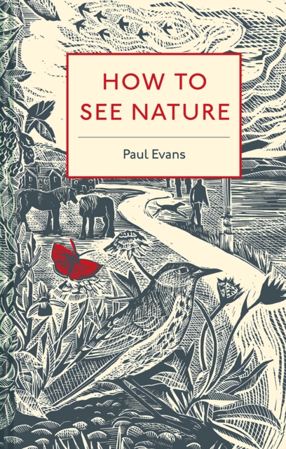 How to See Nature, Hardback Book
