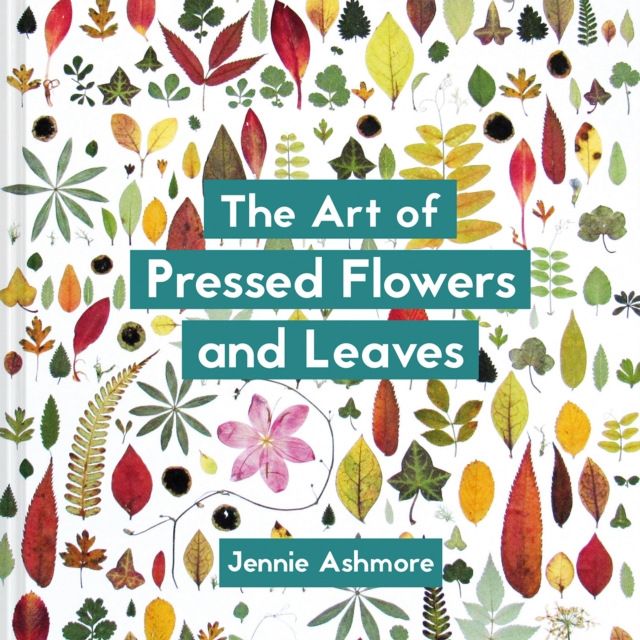 The Art of Pressed Flowers and Leaves : Contemporary techniques & designs, Paperback / softback Book